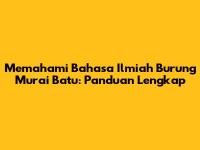 Memahami Bahasa Ilmiah Burung Murai Batu: Panduan Lengkap