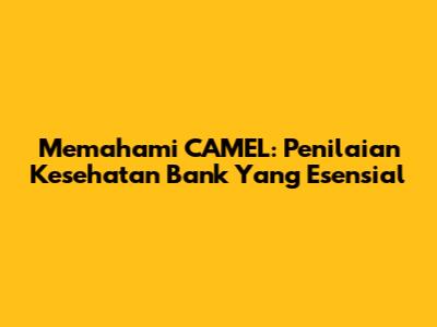 Memahami CAMEL: Penilaian Kesehatan Bank Yang Esensial