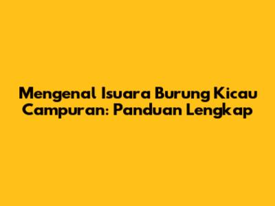 Mengenal Isuara Burung Kicau Campuran: Panduan Lengkap