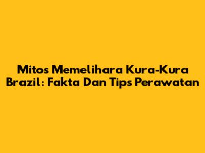 Mitos Memelihara Kura-Kura Brazil: Fakta Dan Tips Perawatan