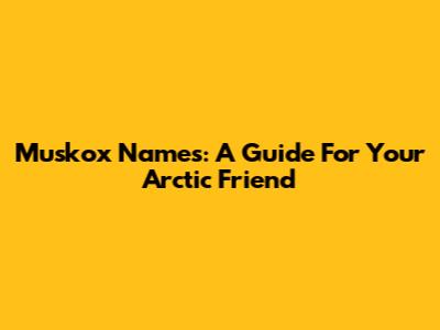 Muskox Names: A Guide For Your Arctic Friend