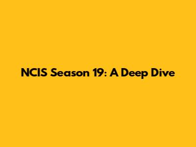 NCIS Season 19: A Deep Dive