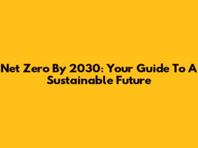 Net Zero By 2030: Your Guide To A Sustainable Future