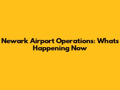 Newark Airport Operations: What's Happening Now