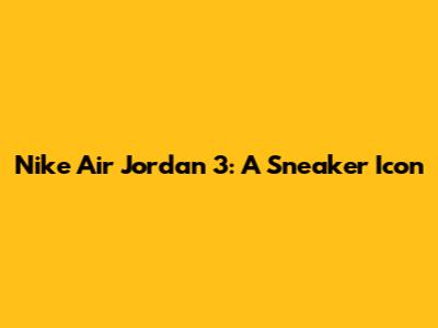 Nike Air Jordan 3: A Sneaker Icon