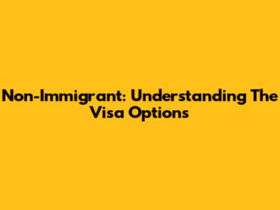 Non-Immigrant: Understanding The Visa Options