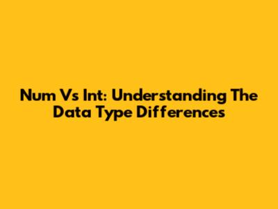 Num Vs Int: Understanding The Data Type Differences