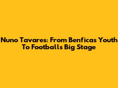 Nuno Tavares: From Benfica's Youth To Football's Big Stage