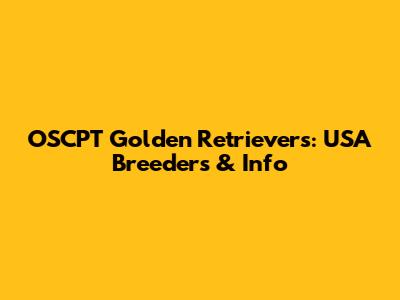 OSCPT Golden Retrievers: USA Breeders & Info