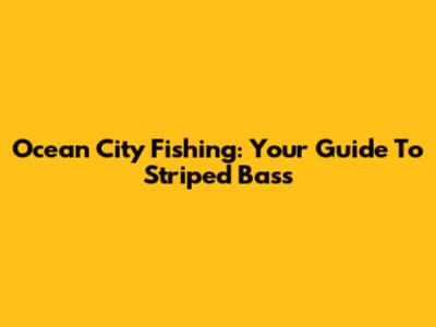 Ocean City Fishing: Your Guide To Striped Bass