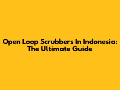 Open Loop Scrubbers In Indonesia: The Ultimate Guide