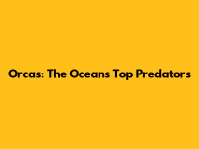 Orcas: The Ocean's Top Predators