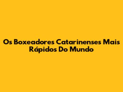 Os Boxeadores Catarinenses Mais Rápidos Do Mundo