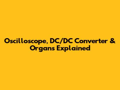 Oscilloscope, DC/DC Converter & Organs Explained
