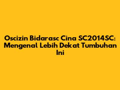 Oscizin Bidarasc Cina SC2014SC: Mengenal Lebih Dekat Tumbuhan Ini