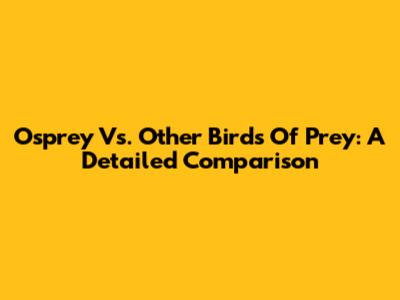 Osprey Vs. Other Birds Of Prey: A Detailed Comparison