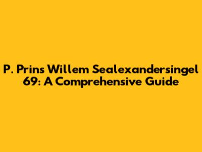 P. Prins Willem Sealexandersingel 69: A Comprehensive Guide