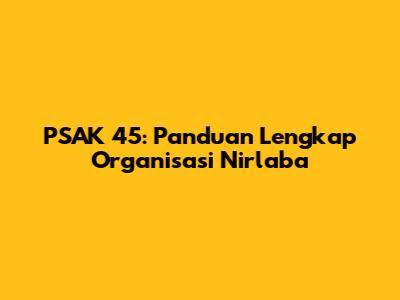 PSAK 45: Panduan Lengkap Organisasi Nirlaba