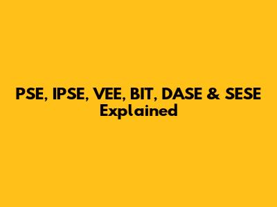 PSE, IPSE, VEE, BIT, DASE & SESE Explained