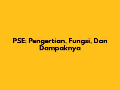 PSE: Pengertian, Fungsi, Dan Dampaknya