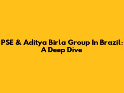 PSE & Aditya Birla Group In Brazil: A Deep Dive