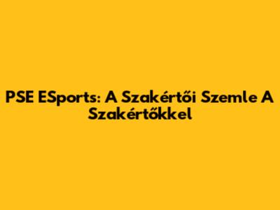 PSE ESports: A Szakértői Szemle A Szakértőkkel