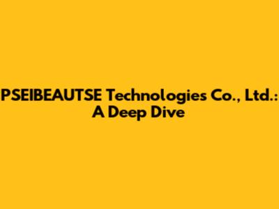 PSEIBEAUTSE Technologies Co., Ltd.: A Deep Dive