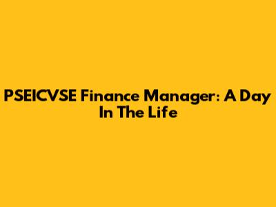 PSEICVSE Finance Manager: A Day In The Life