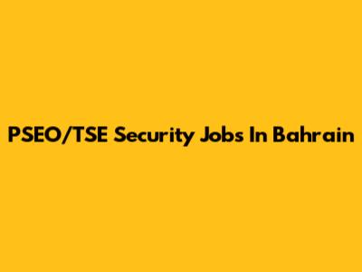 PSEO/TSE Security Jobs In Bahrain