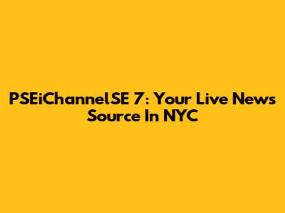 PSEiChannelSE 7: Your Live News Source In NYC