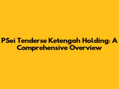 PSei Tenderse Ketengah Holding: A Comprehensive Overview