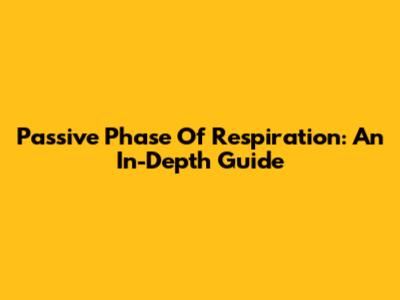 Passive Phase Of Respiration: An In-Depth Guide