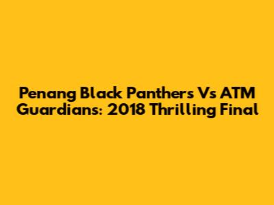Penang Black Panthers Vs ATM Guardians: 2018 Thrilling Final