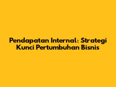 Pendapatan Internal: Strategi Kunci Pertumbuhan Bisnis