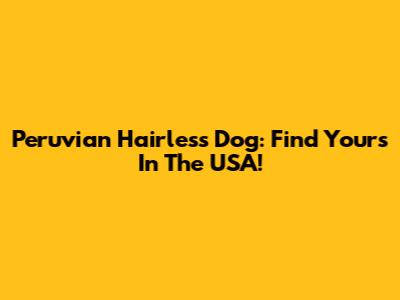 Peruvian Hairless Dog: Find Yours In The USA!