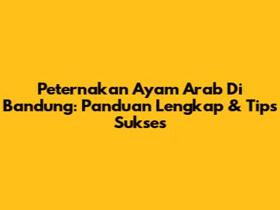 Peternakan Ayam Arab Di Bandung: Panduan Lengkap & Tips Sukses