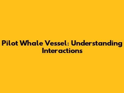 Pilot Whale Vessel: Understanding Interactions