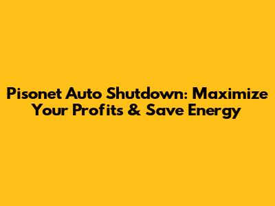 Pisonet Auto Shutdown: Maximize Your Profits & Save Energy
