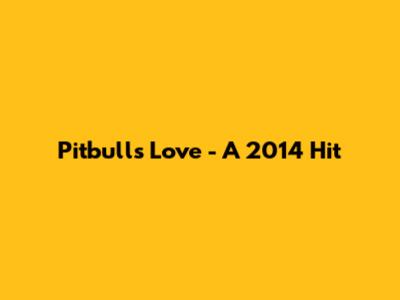 Pitbull's 'Love' - A 2014 Hit