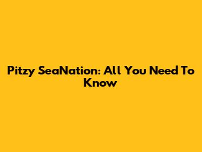 Pitzy SeaNation: All You Need To Know