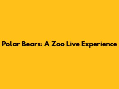 Polar Bears: A Zoo Live Experience