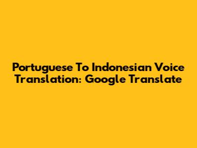 Portuguese To Indonesian Voice Translation: Google Translate
