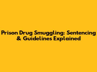 Prison Drug Smuggling: Sentencing & Guidelines Explained