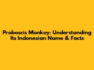 Proboscis Monkey: Understanding Its Indonesian Name & Facts