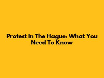 Protest In The Hague: What You Need To Know