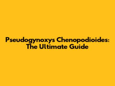 Pseudogynoxys Chenopodioides: The Ultimate Guide