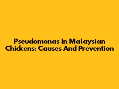 Pseudomonas In Malaysian Chickens: Causes And Prevention