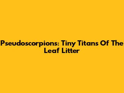 Pseudoscorpions: Tiny Titans Of The Leaf Litter