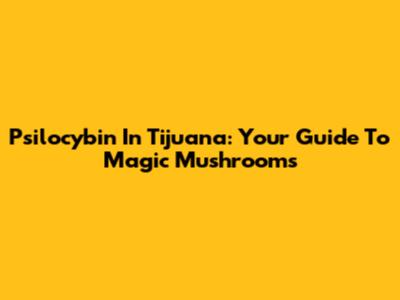 Psilocybin In Tijuana: Your Guide To Magic Mushrooms