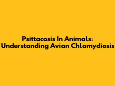 Psittacosis In Animals: Understanding Avian Chlamydiosis